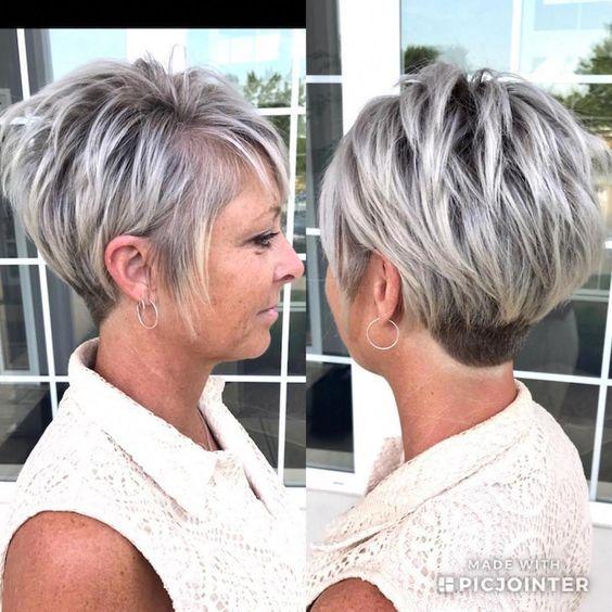 Grauer Pixie Bob mit Stufen Volumen