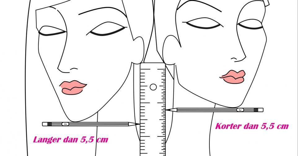 5,5 cm Regel Haarlänge richtig anwenden beim Haarschnitt